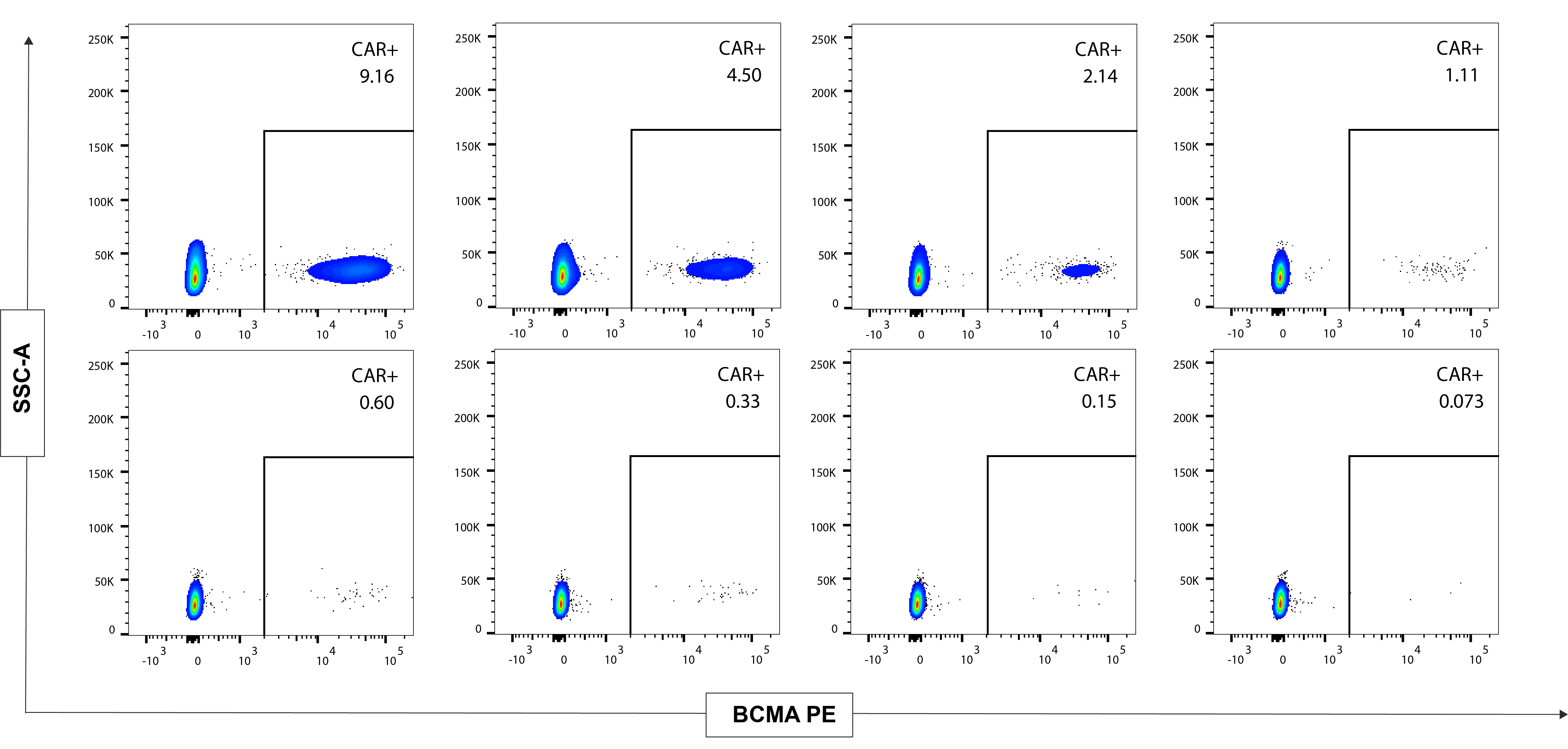 Serial dilution flow cytometry dot plots (BCMA PE vs SSC-A) showing CAR-positive cell detection from 9.16% down to 0.073%