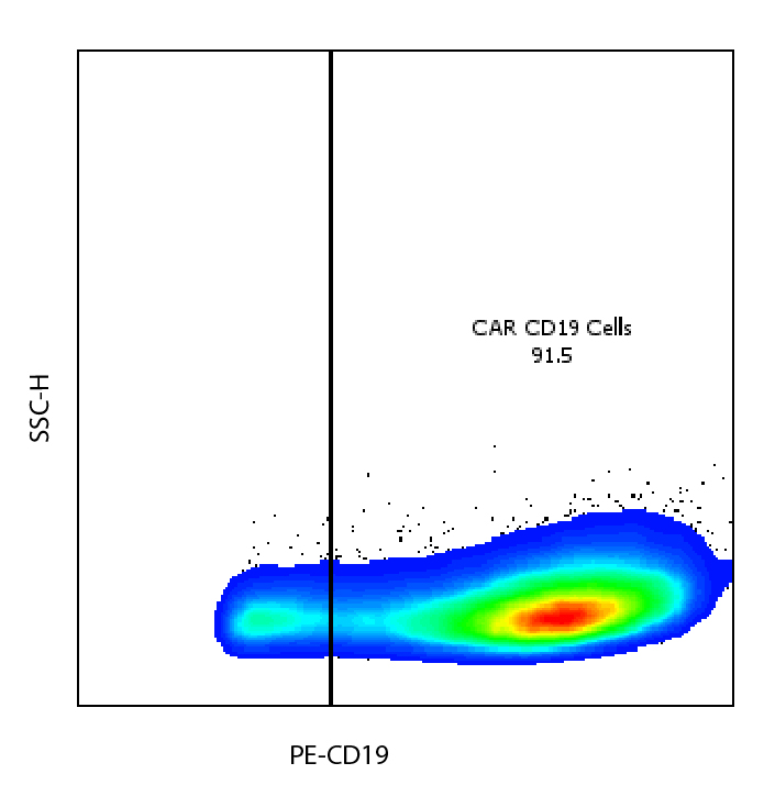 Specific CAR T detection